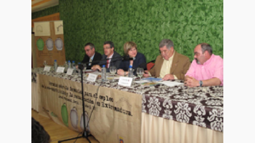 	Durante la celebración de la jornada. ( Foto cedida por MCA-UGT Extremadura)  	